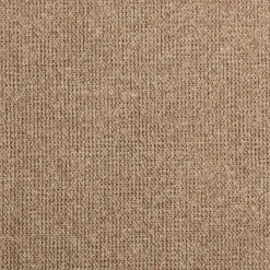 vidaXL Binnen- en buitentapijt AGIRA Naturel 150 x 80 cm Polyester