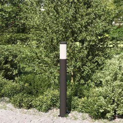 vidaXL Bolderverlichting 80 cm RVS IP44