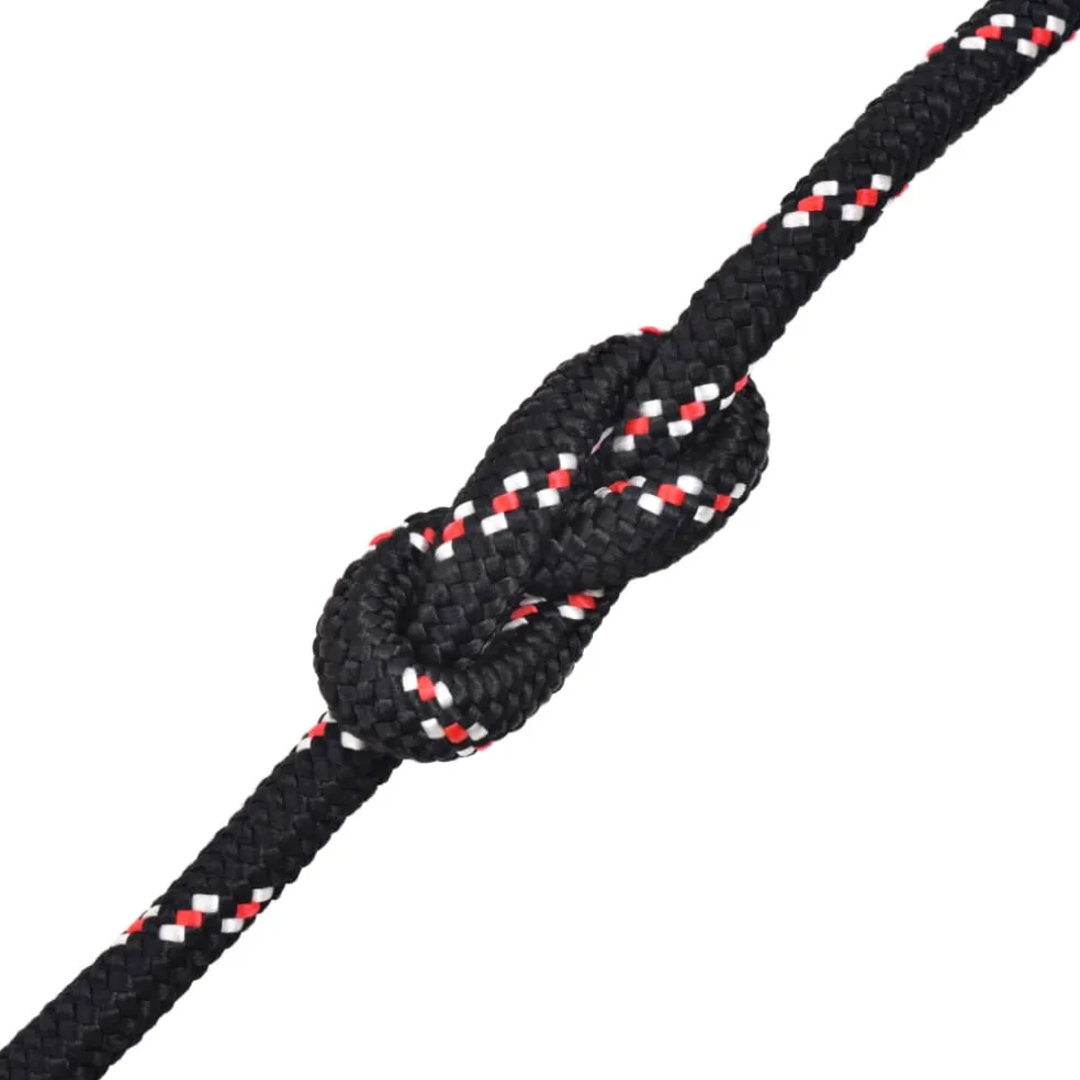 vidaXL Boot touw 6 mm 100 m polypropyleen zwart