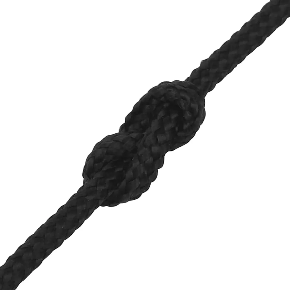 vidaXL Boottouw 2 mm 250 m polypropeen zwart