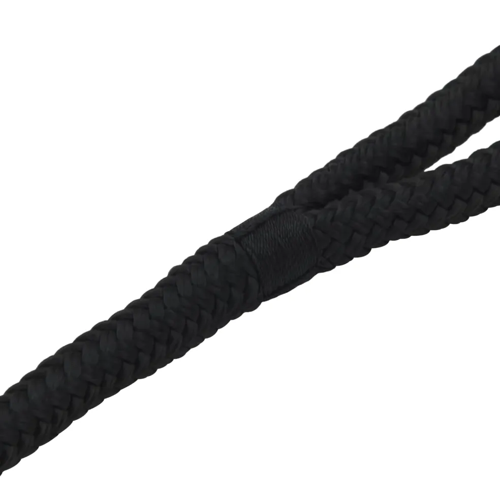vidaXL Boottouw 10 mm 6 m Zwart Polyester