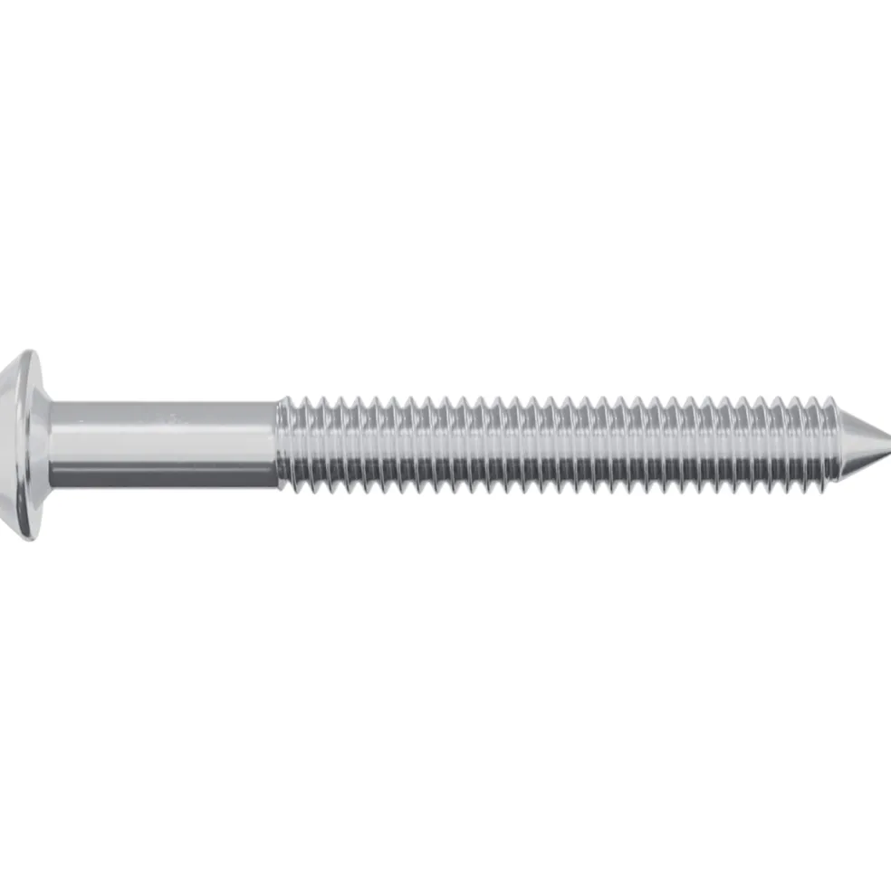vidaXL Bout 2 st Zilver M6 x 50 mm Staal