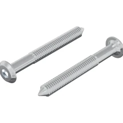 vidaXL Bout 2 st Zilver M6 x 50 mm Staal
