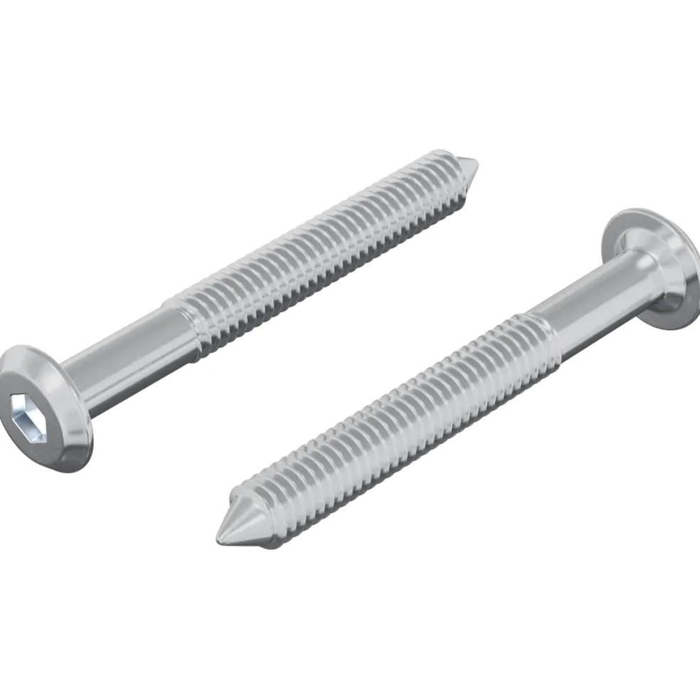 vidaXL Bout 2 st Zilver M6 x 50 mm Staal