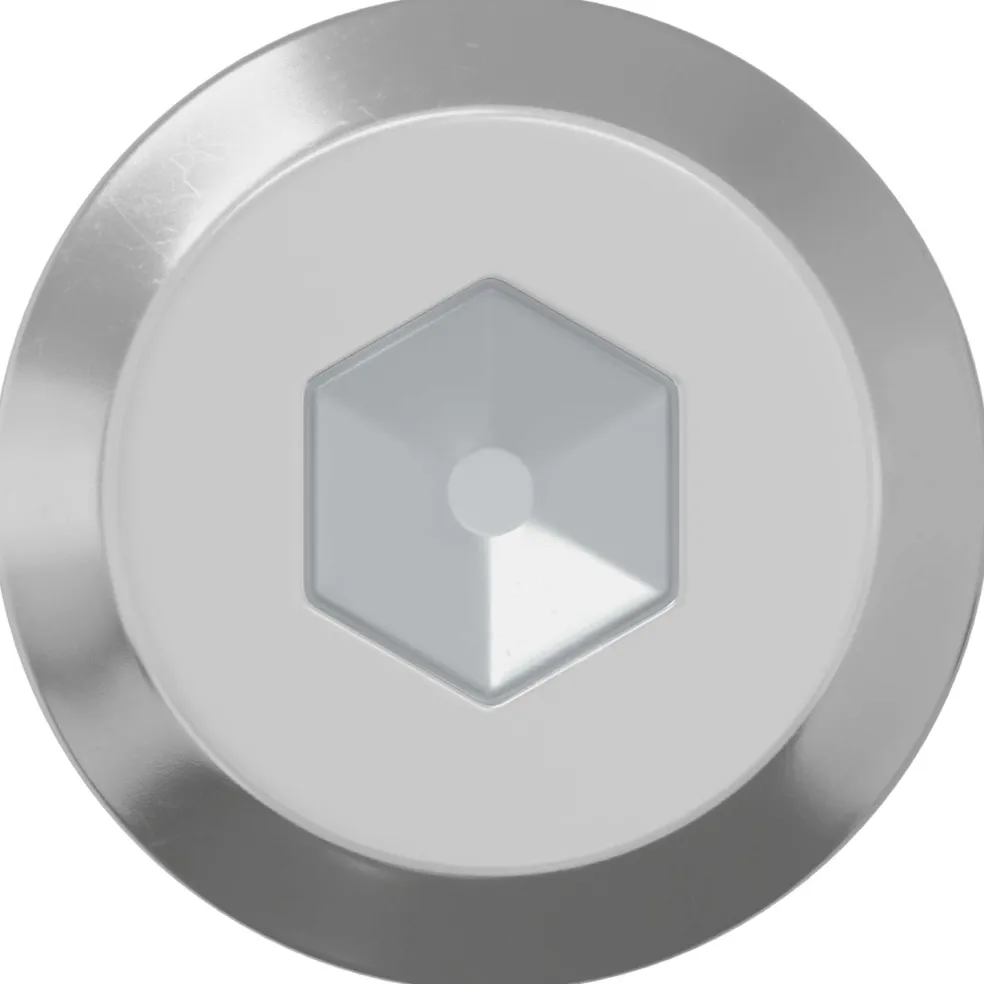 vidaXL Bout 2 st Zilver M6 x 50 mm Staal