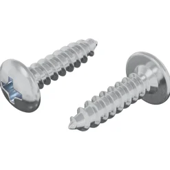 vidaXL Bout 2 st Zilver M4 x 16 mm Staal