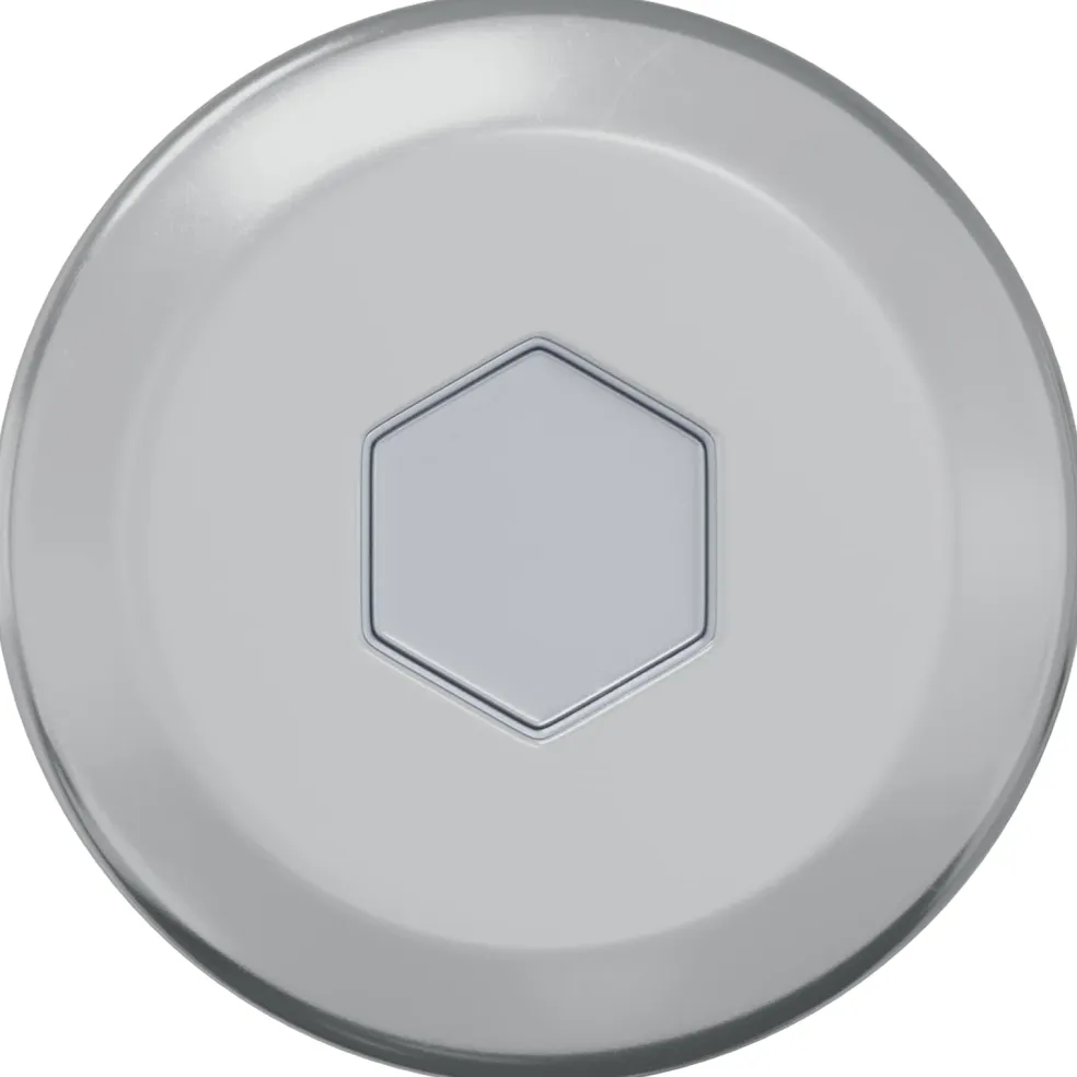 vidaXL Bout 2 st Zilver 8 x 25 mm Staal