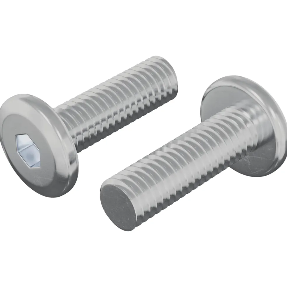 vidaXL Bout 2 st Zilver 8 x 25 mm Staal