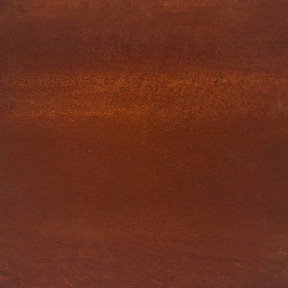 vidaXL Brandhoutrek 100x40x80 cm weervast staal