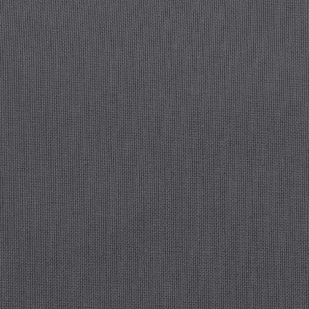 vidaXL Buiten Kussen 2 st Antraciet 100 x 50 x 7 cm
