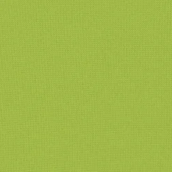 vidaXL Buitenkussens 45x45 cm appeltjesgroen 2 st