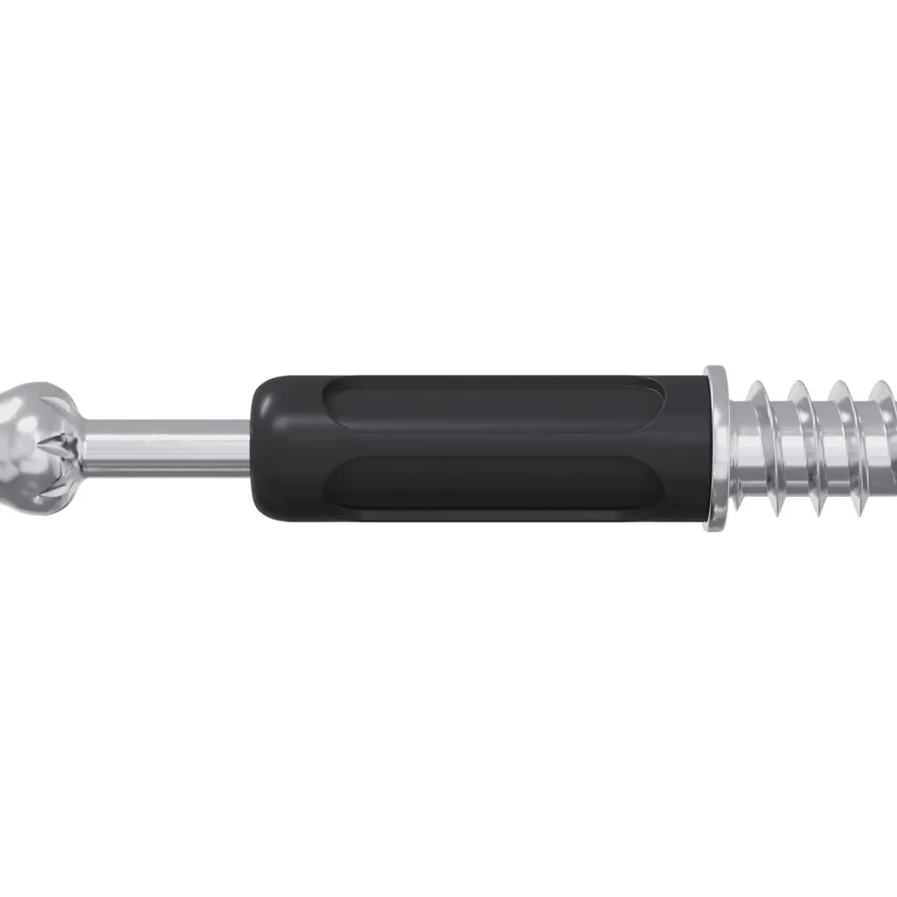 vidaXL Cam Lock Bout 2 st Zilver en Zwart M6 x 40 mm Metaal