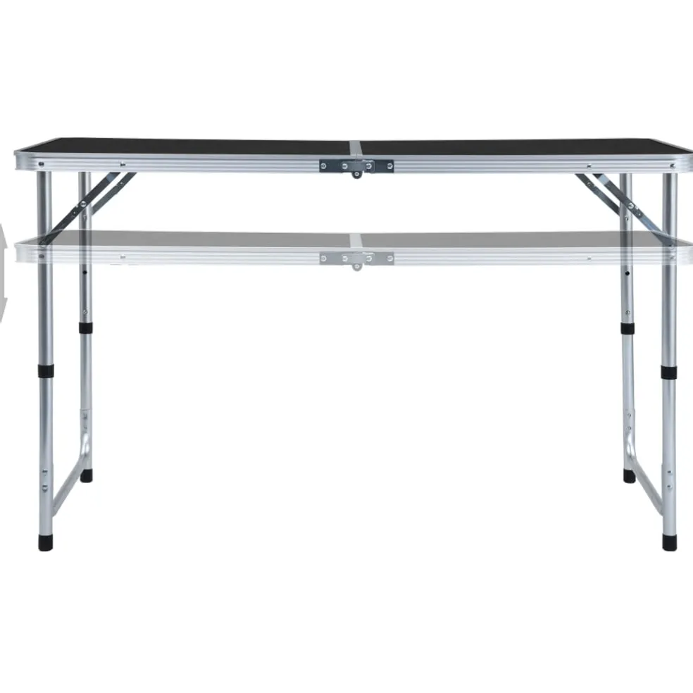 vidaXL Campingtafel inklapbaar 120x60 cm aluminium grijs