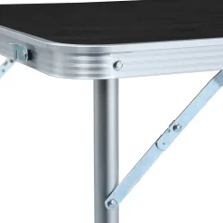 vidaXL Campingtafel inklapbaar 120x60 cm aluminium grijs