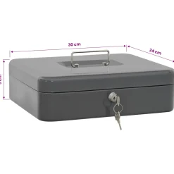 vidaXL Cash Box met slot Donkergrijs 30 x 24 x 9 cm Staal