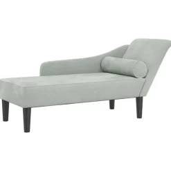 vidaXL Chaise longue met kussens fluweel lichtgrijs
