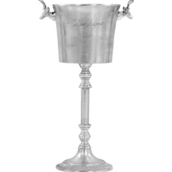 vidaXL Champagnekoeler 39x29x71 cm massief aluminium zilverkleurig