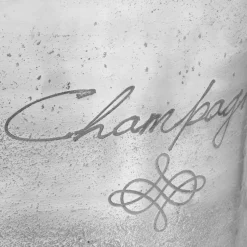 vidaXL Champagnekoeler 39x29x71 cm massief aluminium zilverkleurig