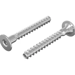 vidaXL Confirmatschroeven 2 st zilver Ø5 x 40 mm Metaal