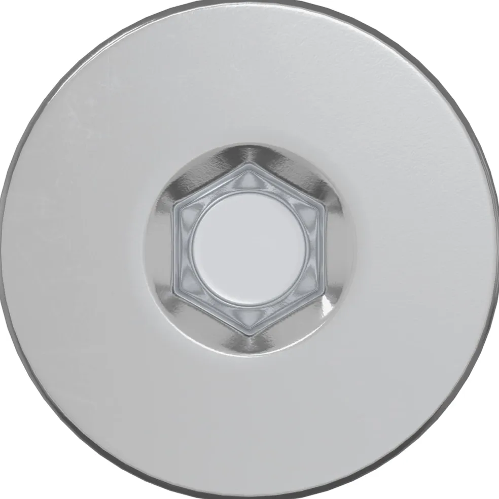 vidaXL Confirmatschroeven 2 st zilver Ø5 x 40 mm Metaal