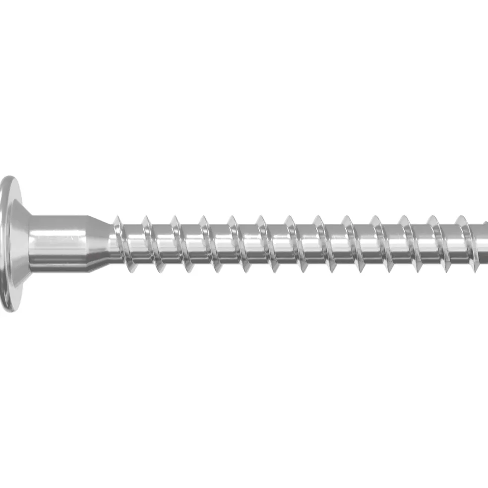 vidaXL Confirmatschroeven 2 st zilver Ø5 x 40 mm Metaal