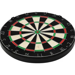 vidaXL Dartbord professioneel met 6 darts sisal