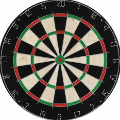 vidaXL Dartbord professioneel met 6 darts sisal