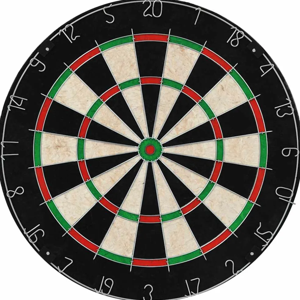 vidaXL Dartbord professioneel met 6 darts sisal