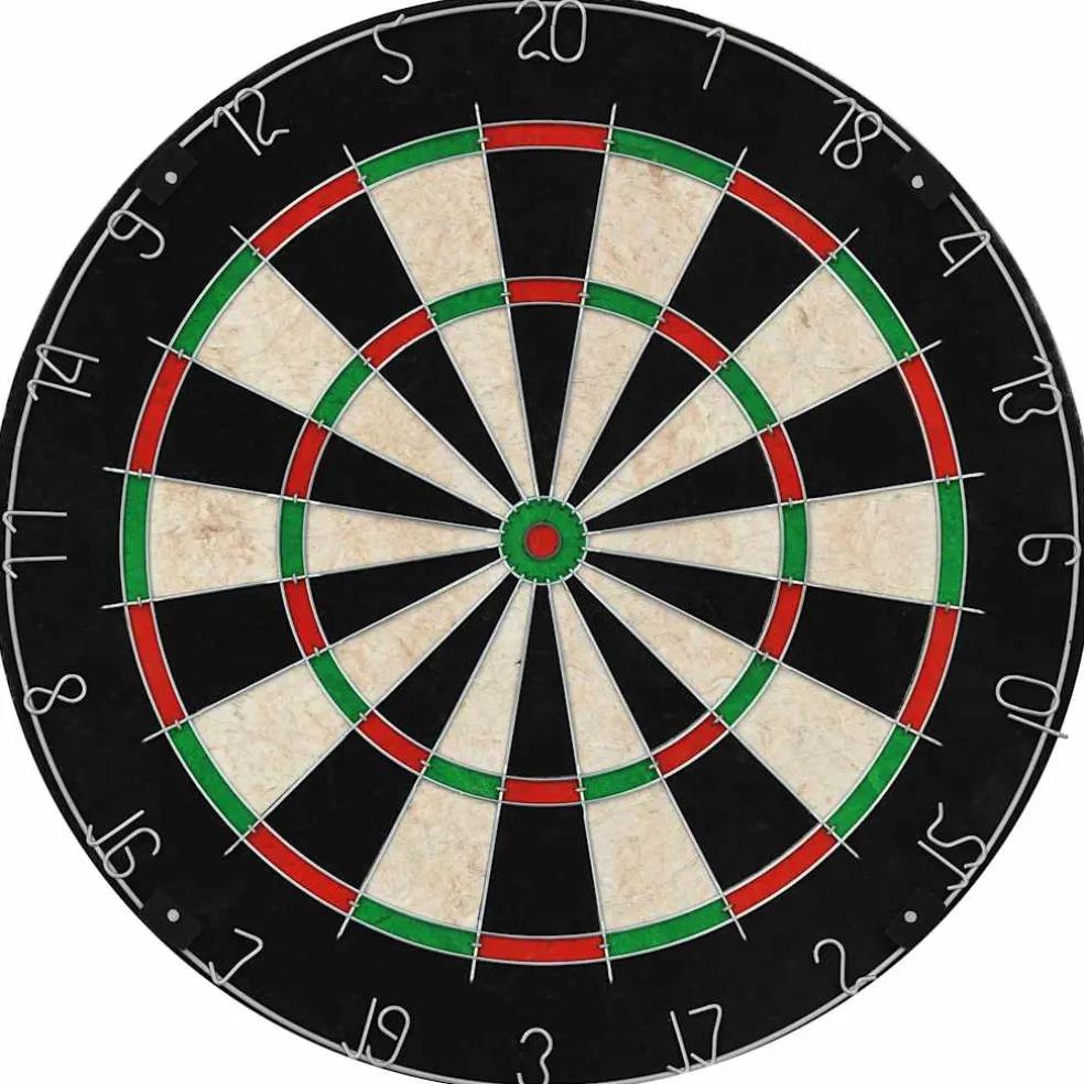 vidaXL Dartbord professioneel met kast en 6 darts sisal