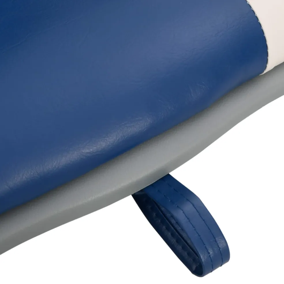 vidaXL 2-delige Bootstoelenset met blauw-witte kussens inklapbaar