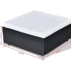 vidaXL 10-delige Loungeset met kussens poly rattan zwart