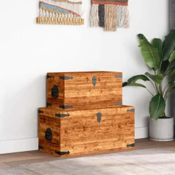 vidaXL 2-delige Opbergkistenset ruw mangohout