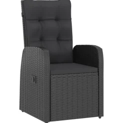 vidaXL 9-delige Tuinset met kussens poly rattan zwart