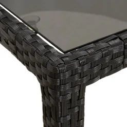 vidaXL 5-delige Tuinset met kussens poly rattan zwart