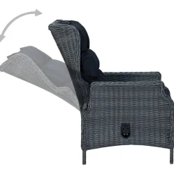 vidaXL 9-delige Tuinset met kussens poly rattan donkergrijs