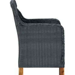 vidaXL 9-delige Tuinset met kussens poly rattan donkergrijs