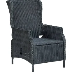 vidaXL 9-delige Tuinset met kussens poly rattan donkergrijs