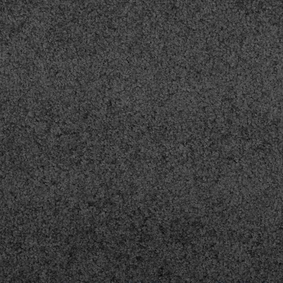 vidaXL Deurmat Antraciet 60 x 40 x 1.2 cm Teddy Stof