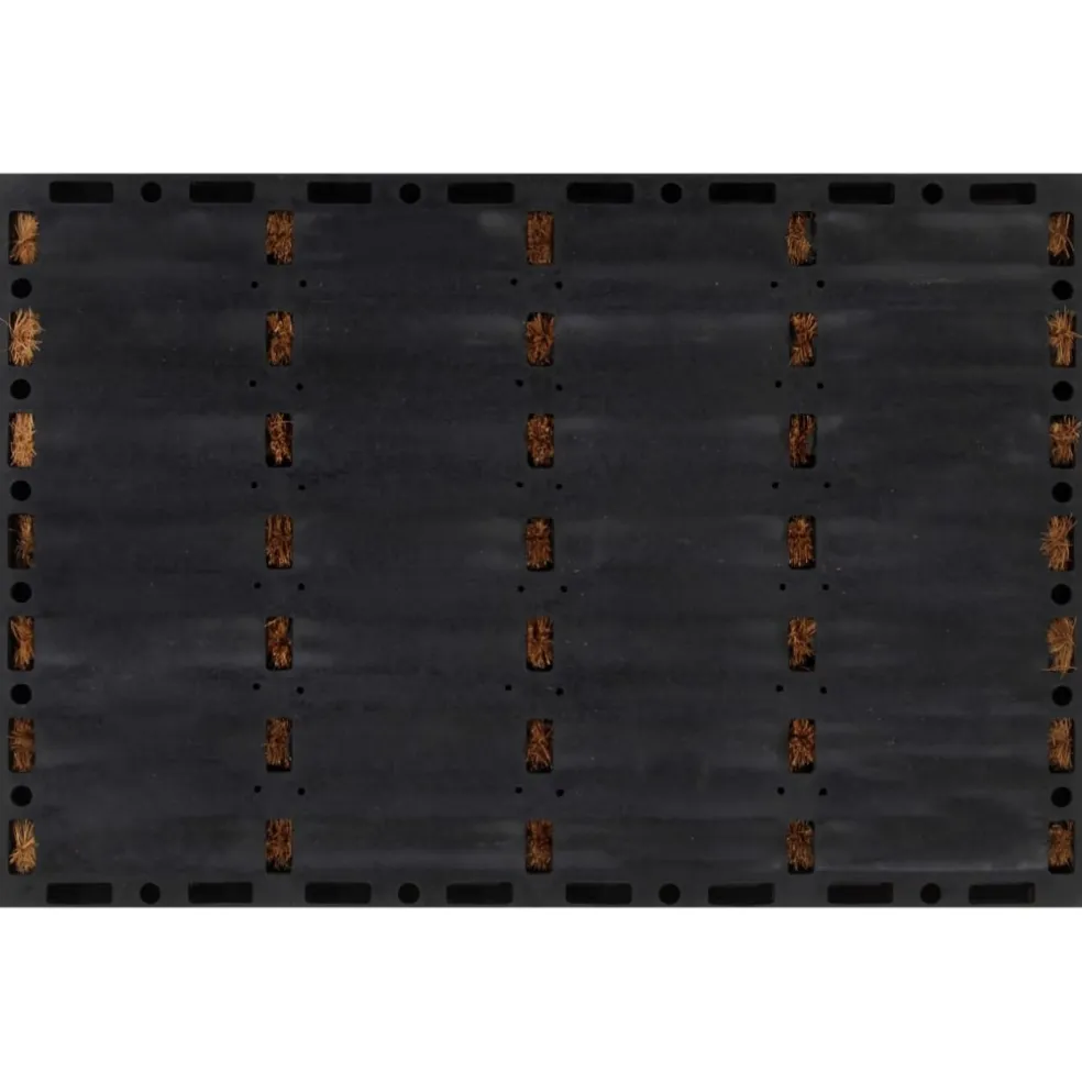 vidaXL Deurmat rechthoekig 40x60 cm rubber en kokosvezel