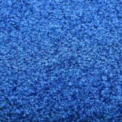 vidaXL Deurmat wasbaar 60x180 cm blauw