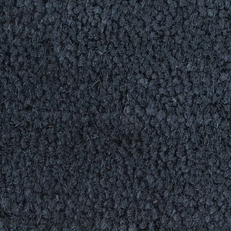 vidaXL Deurmat 40x60 cm getufte kokosvezel donkergrijs
