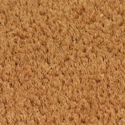 vidaXL Deurmat 40x60 cm getufte kokosvezel naturel