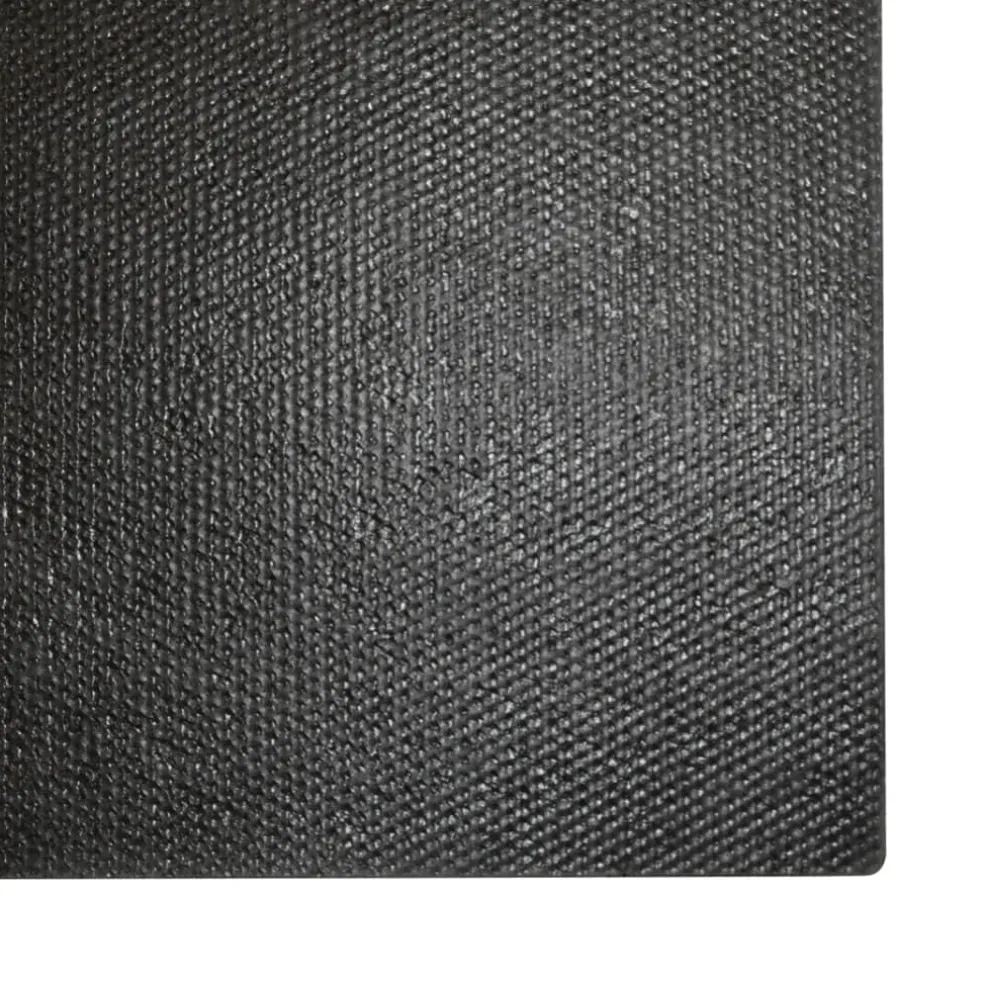 vidaXL Deurmat 40x60 cm getufte kokosvezel naturel