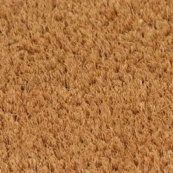 vidaXL Deurmat 40x60 cm getufte kokosvezel naturel