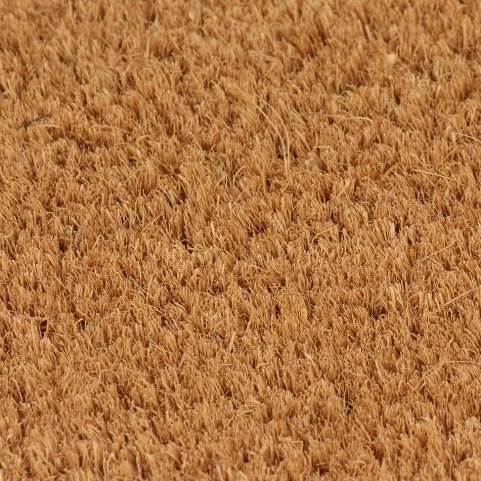 vidaXL Deurmat 40x60 cm getufte kokosvezel naturel