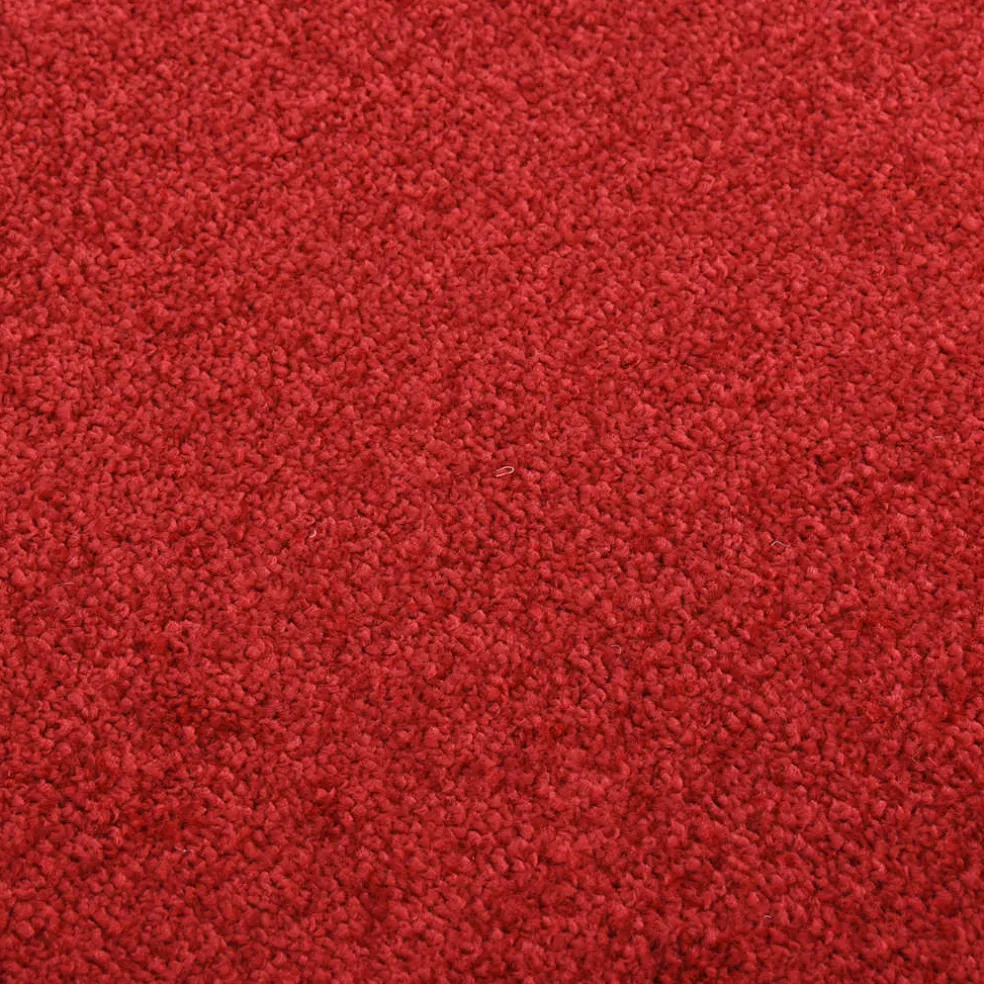 vidaXL Deurmat 40x60 cm rood