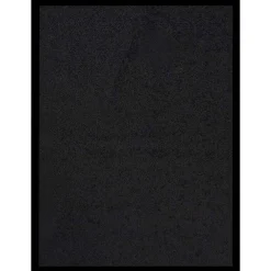 vidaXL Deurmat 40x60 cm zwart