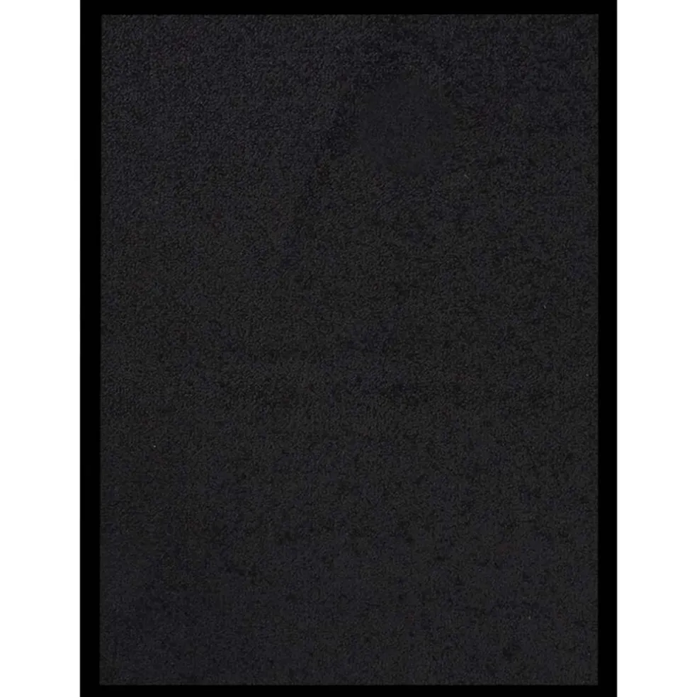 vidaXL Deurmat 40x60 cm zwart
