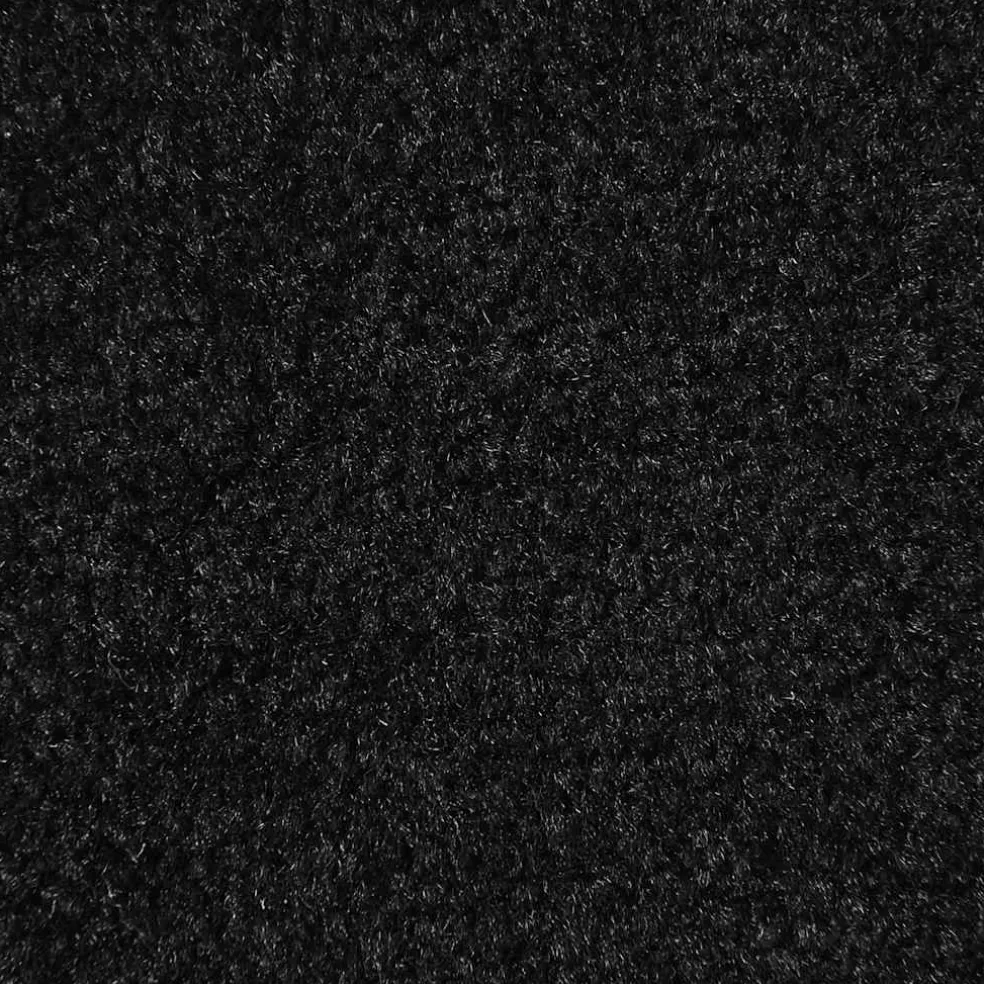 vidaXL Deurmat 40x60 cm zwart