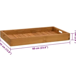 vidaXL Dienblad 60x35 cm massief teakhout